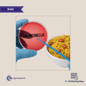 Salmonella BAM