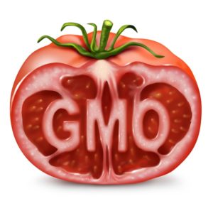 GMO Detection