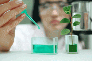 Herbal Testing Laboratory