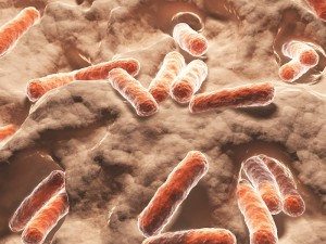 Food Testing & Analysis - Foodborne Pathogens