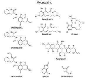 Food Testing & Analysis - Mycotoxins