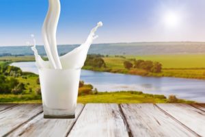 Natural trans fats in milk