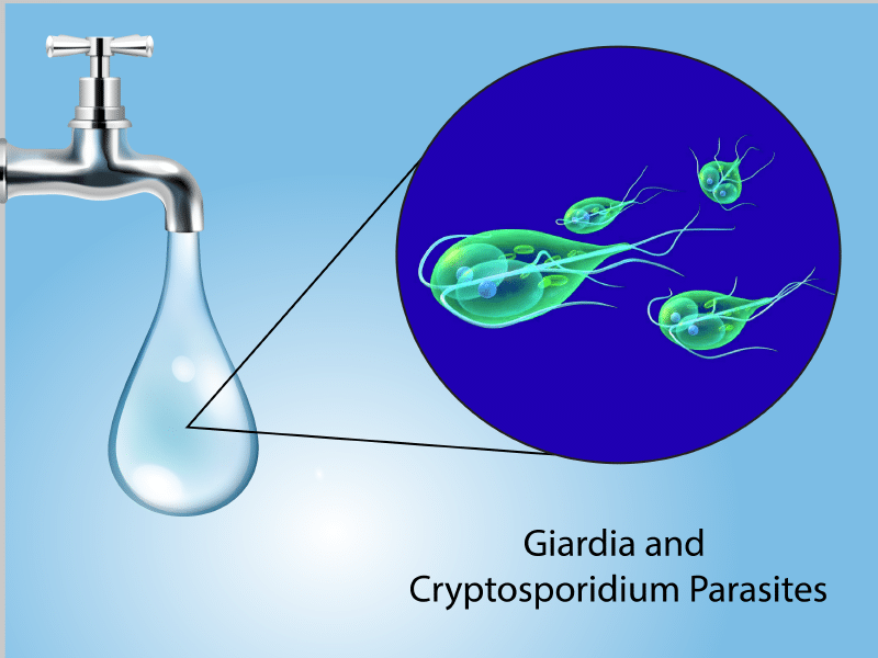 Water Testing for Giardia and Cryptosporidium Parasites